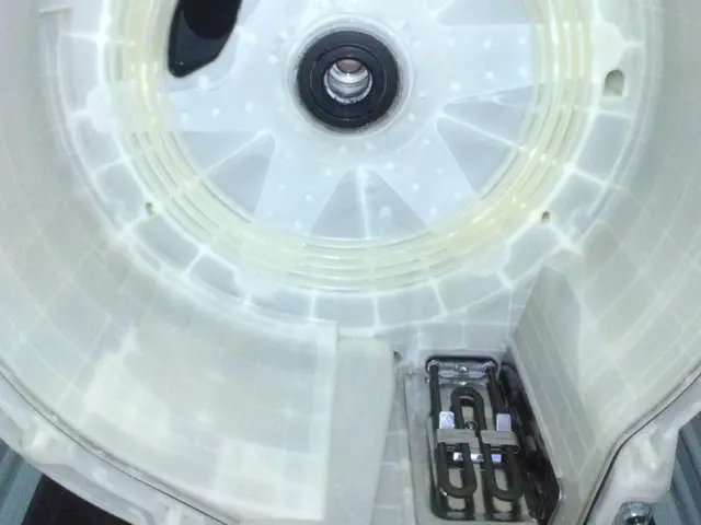 ★ドラムも分解！★内部の汚れもピカピカに♪（ドラム式）サービスの画像