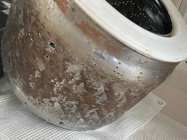 ★ドラムも分解！★内部の汚れもピカピカに♪（ドラム式）サービスの画像