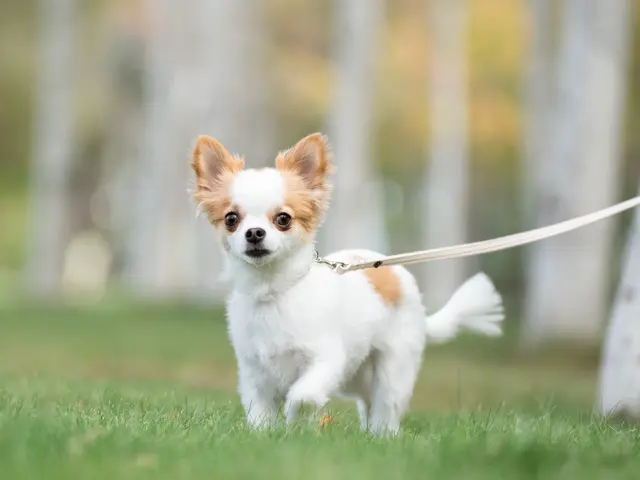 豊富な経験と知識で安心！仕上がり重視で丁寧に撮影いたします！