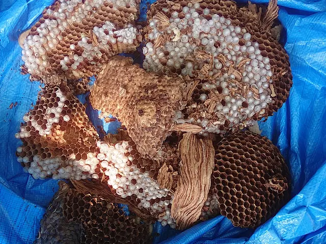 岐阜エリア→9/8、9/9対応可能！サービスの画像