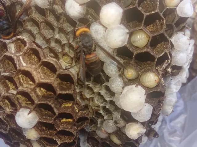 岐阜エリア→9/8、9/9対応可能！サービスの画像