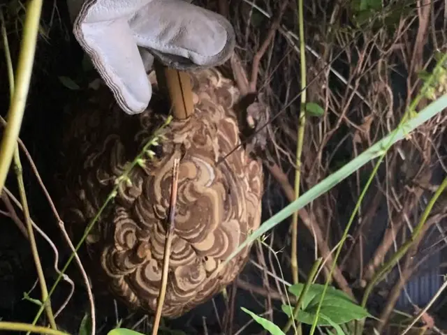 岐阜エリア→9/8、9/9対応可能！サービスの画像