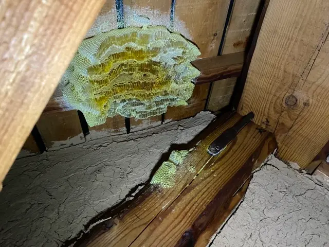 岐阜エリア→9/8、9/9対応可能！サービスの画像