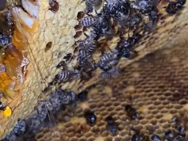 岐阜エリア→9/8、9/9対応可能！サービスの画像