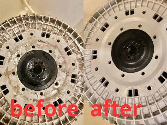 10月も特別価格でご案内！洗濯機クリーニングサービスの画像