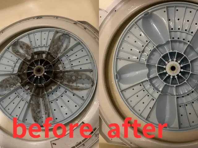 10月も特別価格でご案内！洗濯機クリーニングサービスの画像
