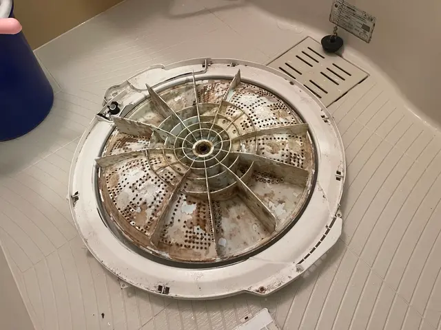 10月も特別価格でご案内！洗濯機クリーニングサービスの画像