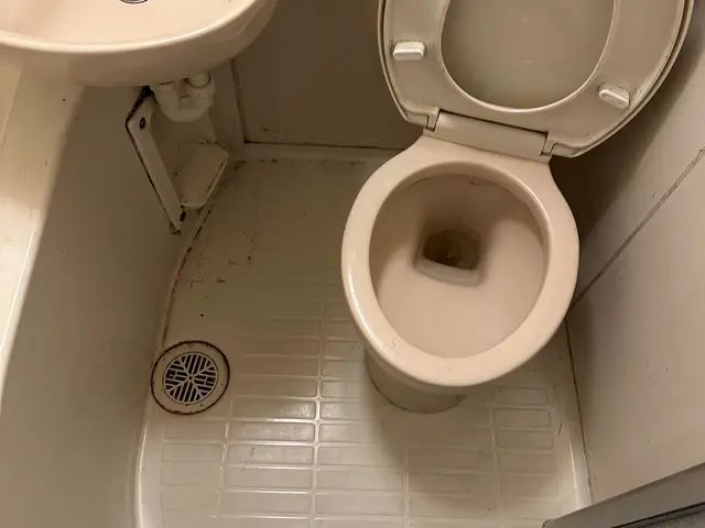 退去後の清掃お任せ下さい！【当日立会い不要・Wax無料で施工】サービスの画像