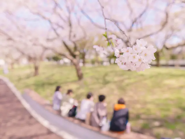 【開業特価】予約対応～撮影・納品まで当社スタッフがすべて対応します
