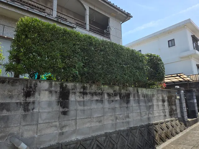 作業外注一切なし◎損害保険に加入済み◎女性スタッフ活躍中！！サービスの画像