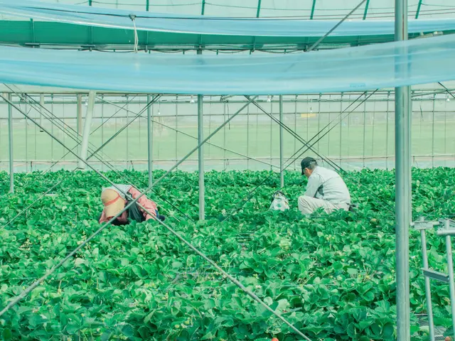 【福岡】企業イベント・店舗オープン実績あり｜事前打ち合わせで安心｜スピード納品