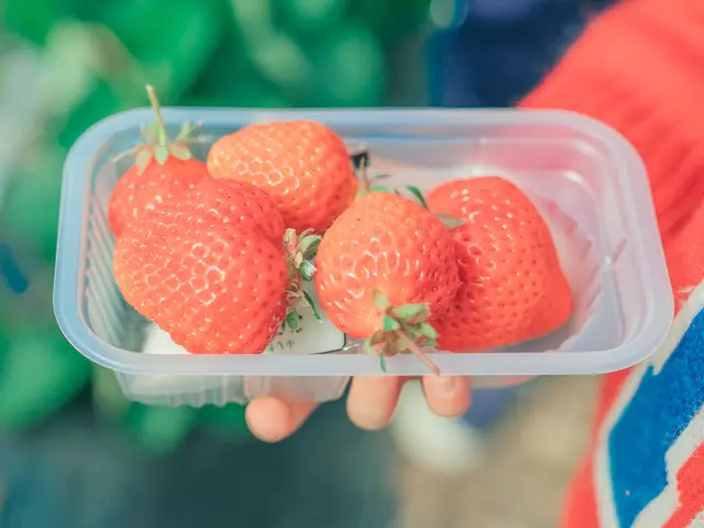 【福岡】企業イベント・店舗オープン実績あり｜事前打ち合わせで安心｜スピード納品