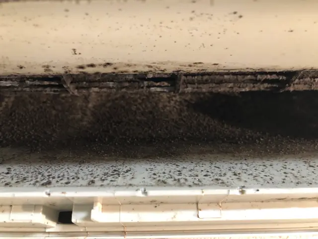 【女性スタッフ在籍】◎エアコンクリーニング◎サービスの画像