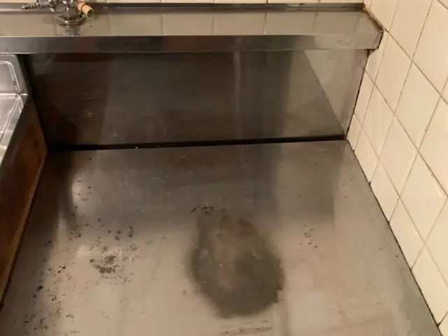 キッチン、換気扇(キッチン)、お風呂、トイレ、洗面所の５点セットサービスの画像