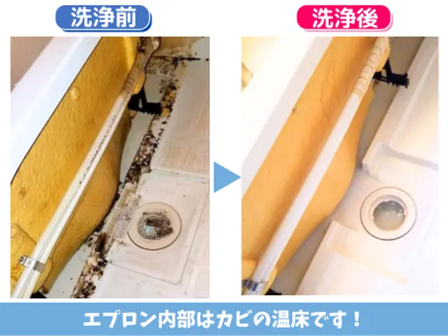 落ちないカビ・水垢・皮脂汚れのを根こそぎ除去！エプロン内部･浴室乾燥機も対応★サービスの画像