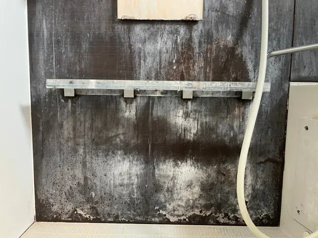 落ちないカビ・水垢・皮脂汚れのを根こそぎ除去！エプロン内部･浴室乾燥機も対応★サービスの画像