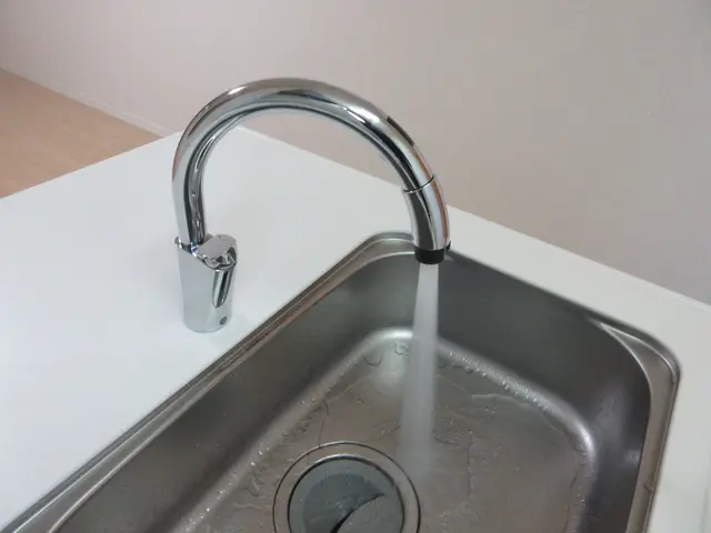 水栓蛇口交換 / キッチンサービスの画像