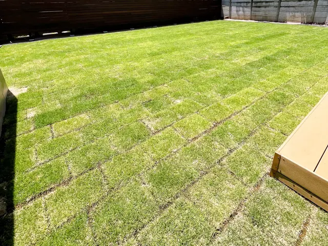 彩ガーデンの福田と申します！お庭まわりの事なら何でもご相談下さい。無料見積もり！サービスの画像