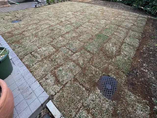 彩ガーデンの福田と申します！お庭まわりの事なら何でもご相談下さい。無料見積もり！サービスの画像