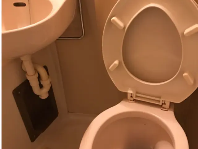 ★業界歴16年★ 経験をいかした安心作業◎コロナ対策◎サービスの画像