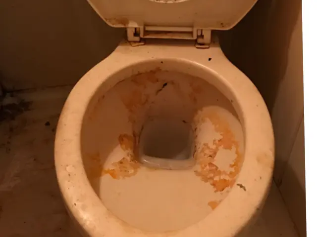 ★業界歴16年★ 経験をいかした安心作業◎コロナ対策◎サービスの画像