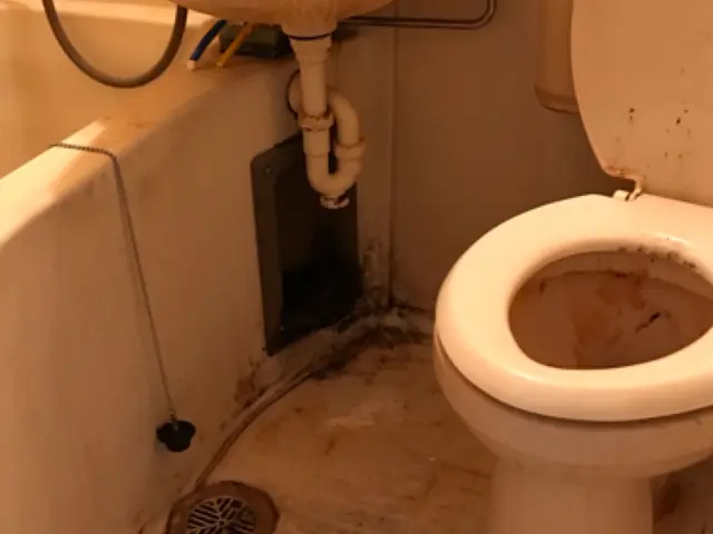 ★業界歴16年★ 経験をいかした安心作業◎コロナ対策◎サービスの画像