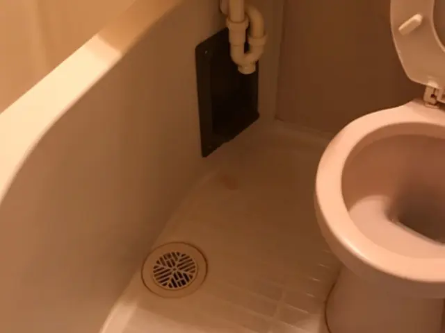 ★業界歴16年★ 経験をいかした安心作業◎コロナ対策◎サービスの画像