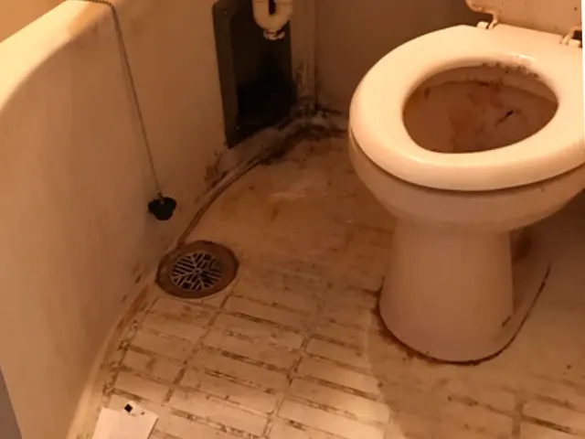 ★業界歴16年★ 経験をいかした安心作業◎コロナ対策◎サービスの画像