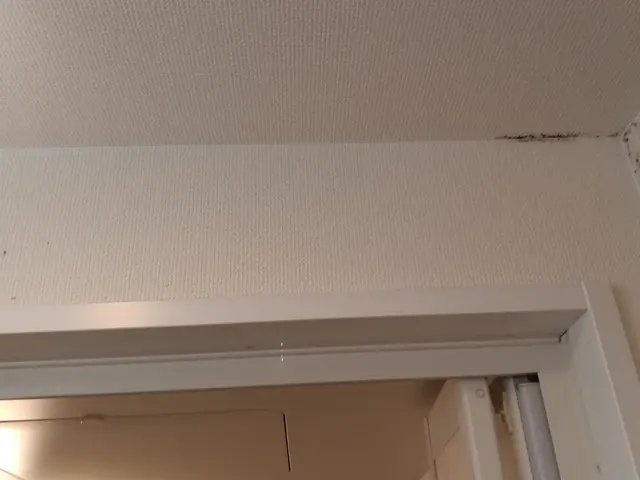 初回利用◎返信24時間以内◎クレカ払◎損保加入◎駐車代金上限負担◎リピート割◎サービスの画像