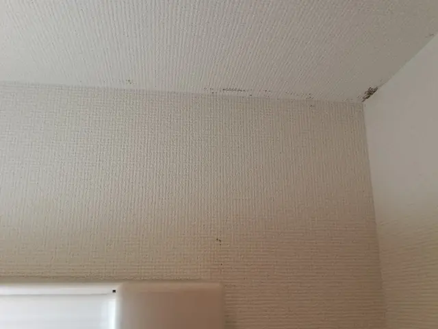 初回利用◎返信24時間以内◎クレカ払◎損保加入◎駐車代金上限負担◎リピート割◎サービスの画像