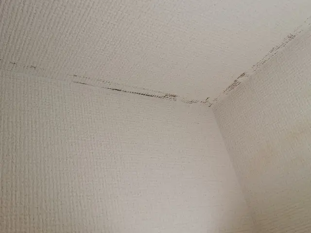 初回利用◎返信24時間以内◎クレカ払◎損保加入◎駐車代金上限負担◎リピート割◎サービスの画像