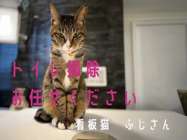 【☆トイレを綺麗にして運気アップ！？☆】迷ったら私にお任せください！サービスの画像