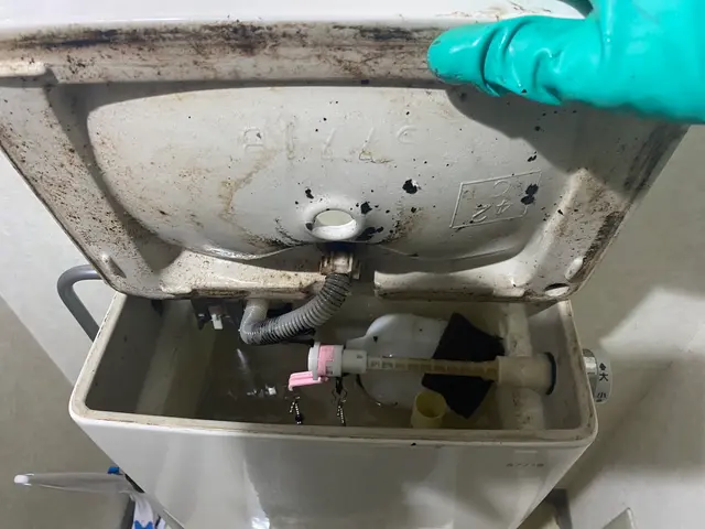 【☆トイレを綺麗にして運気アップ！？☆】迷ったら私にお任せください！サービスの画像