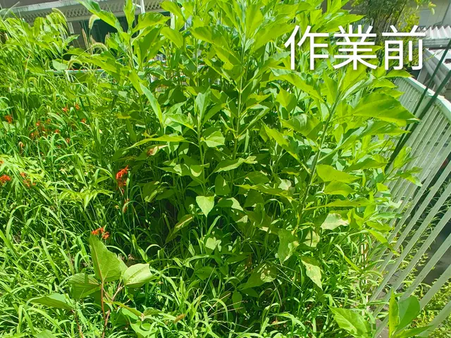 10年の実績とお客様満足度重視！細部まで丁寧に仕上げる自社スタッフ対応サービスの画像