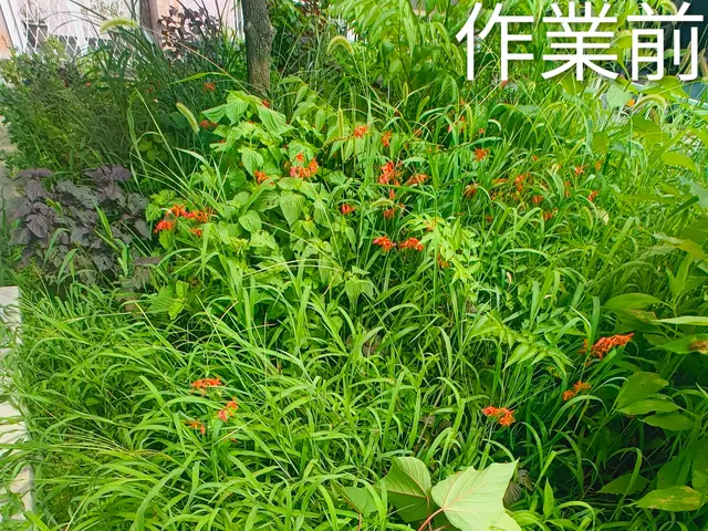 10年の実績とお客様満足度重視！細部まで丁寧に仕上げる自社スタッフ対応サービスの画像