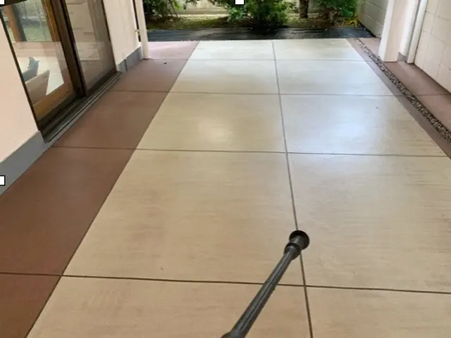 あきらめていた玄関やエントランスの黒ずみ、お任せください。サービスの画像