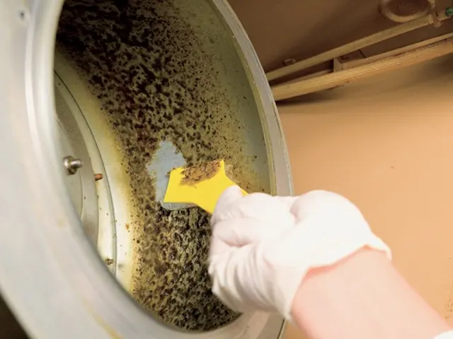 分解洗浄でよごれスッキリ！レンジフードクリーニングサービスの画像