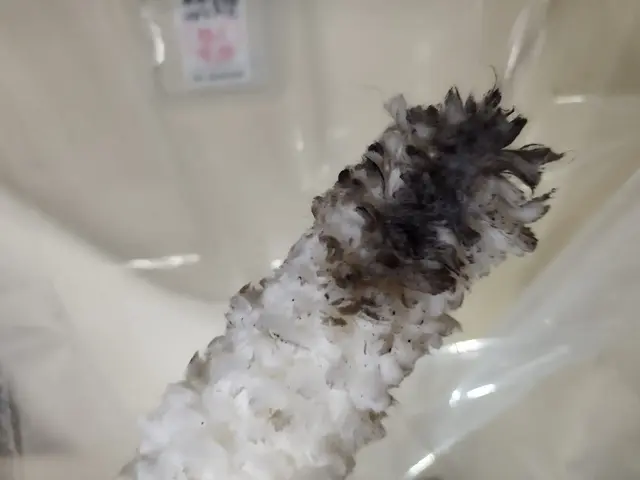 エアコンクリーニング / 壁掛けタイプサービスの画像