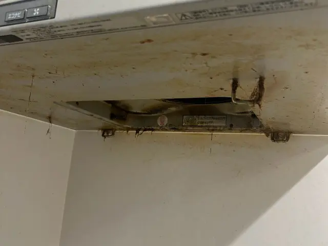 【4月キャンペーン中】経験と知識を活かし、期間限定最安値で対応いたします！サービスの画像