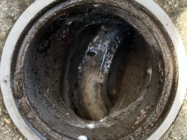 【くらしの水まわりドクター】・地域密着・誠実価格・アフターフォロー充実サービスの画像