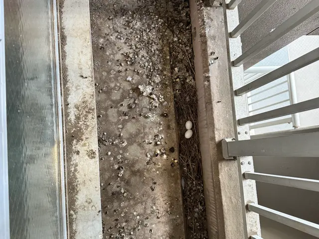 【5年1000件超の実績】即日対応◉女性スタッフ同行も可能♪損害保険加入済み◉サービスの画像