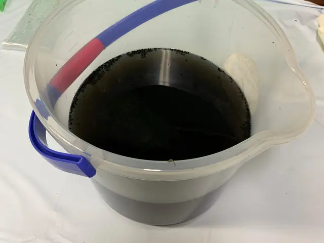 ☆非喫煙者☆複数台割引あり！時間をかけて丁寧洗浄！動物好きなので優しく対応サービスの画像