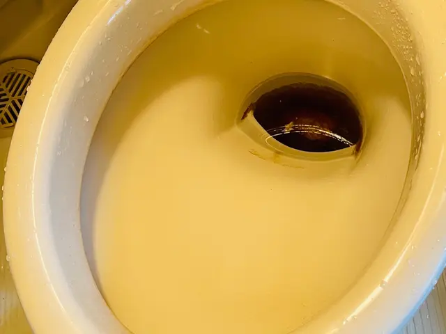 おトイレおそうじサービスの画像