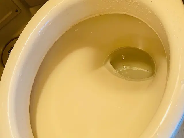 おトイレおそうじサービスの画像