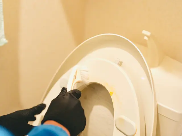 おトイレおそうじサービスの画像