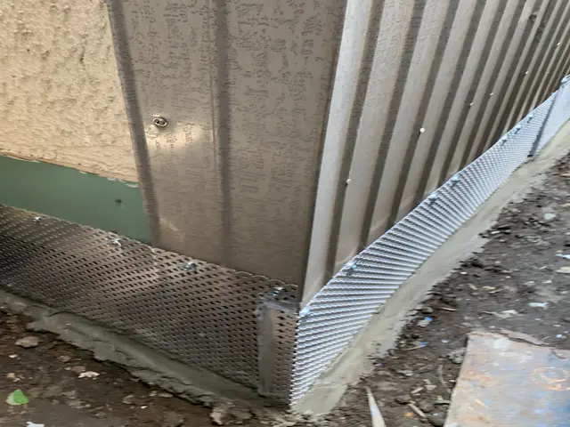 ハクビシン、アライグマ被害のお悩みならご相談下さい！サービスの画像