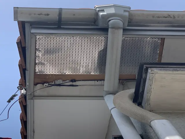 ハクビシン、アライグマ被害のお悩みならご相談下さい！サービスの画像