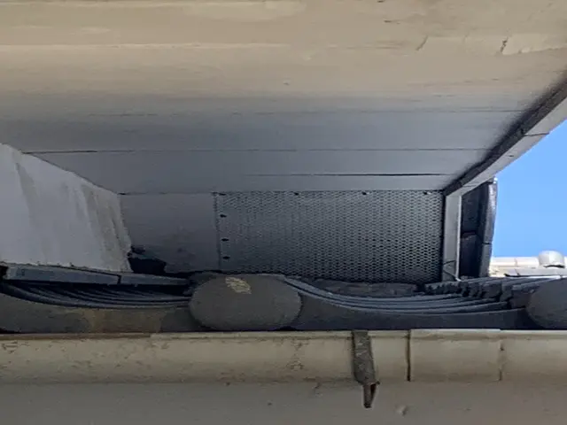 ハクビシン、アライグマ被害のお悩みならご相談下さい！サービスの画像