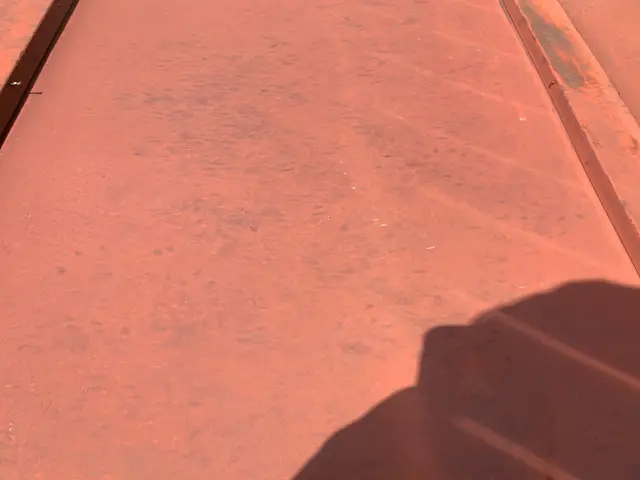 ハクビシン、アライグマ被害のお悩みならご相談下さい！サービスの画像