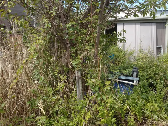 ◆創業6年◆手におえない雑草は地元の業者にお任せ下さい。 丁寧な作業！サービスの画像